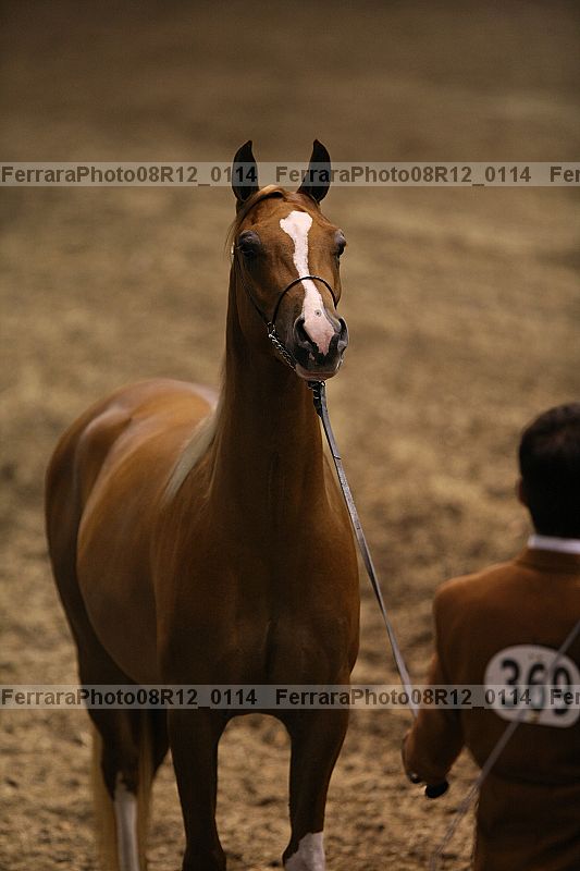 Proof 08r12_0114