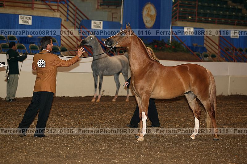 Proof 08r12_0116