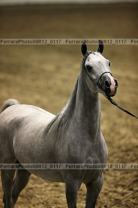 Proof 08r12_0117