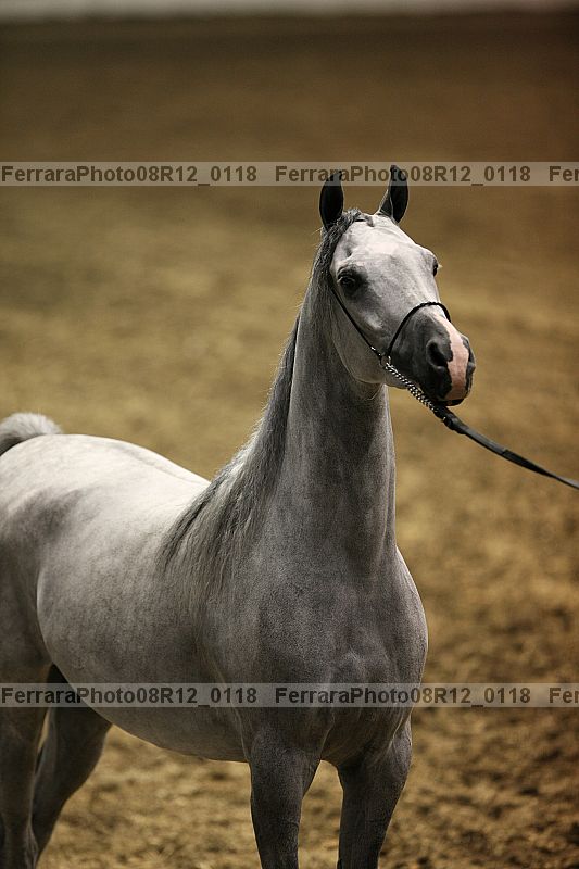 Proof 08r12_0118