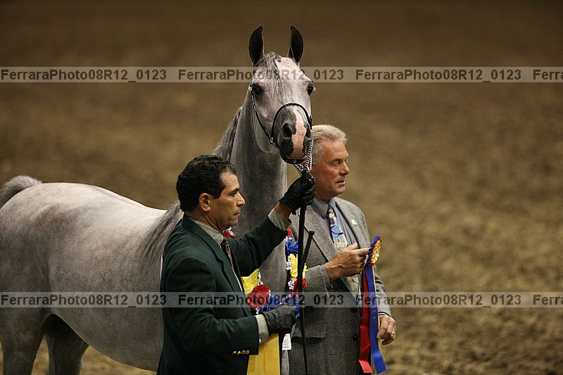 Proof 08r12_0123