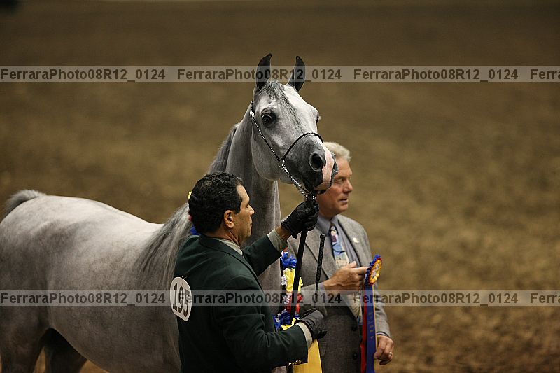 Proof 08r12_0124