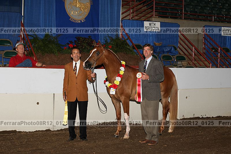 Proof 08r12_0125