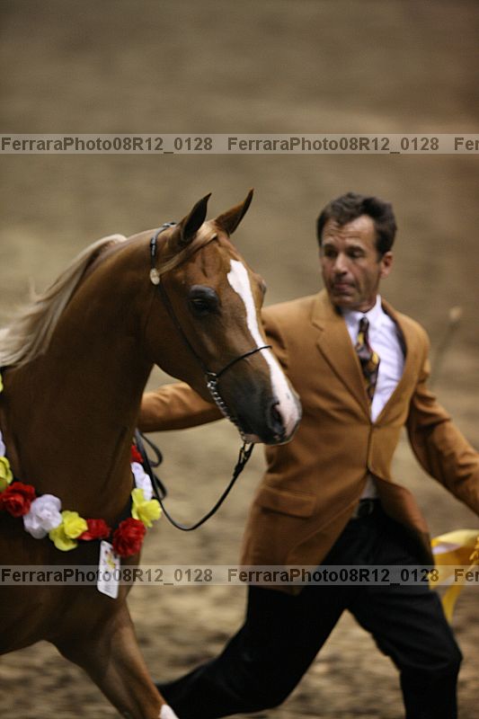 Proof 08r12_0128