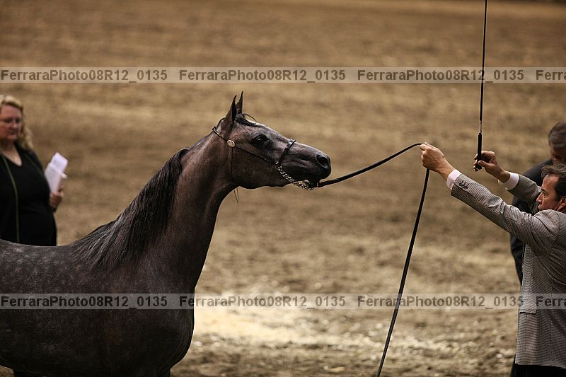 Proof 08r12_0135