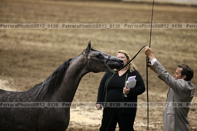 Proof 08r12_0136