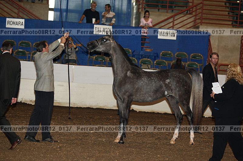 Proof 08r12_0137