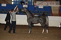 08r12_0138 proof