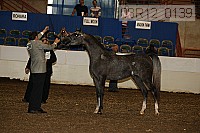 08r12_0139 proof