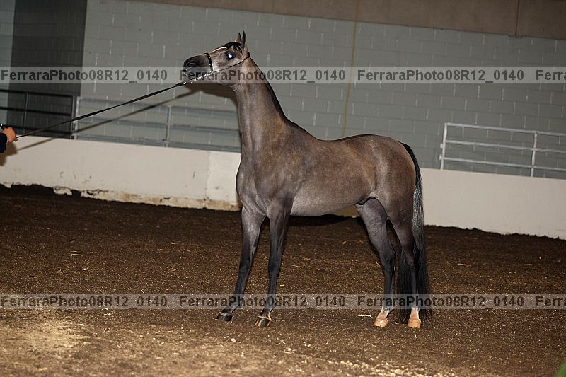 Proof 08r12_0140