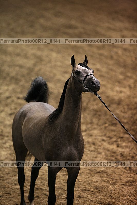 Proof 08r12_0141