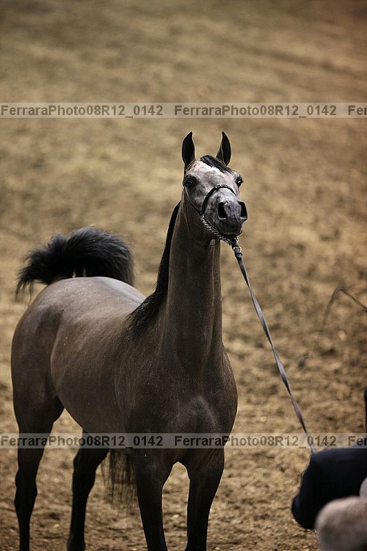 Proof 08r12_0142