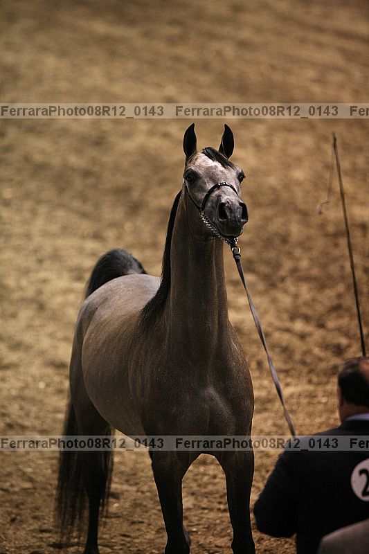 Proof 08r12_0143