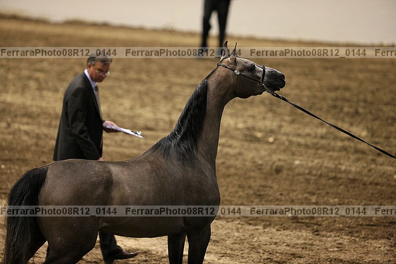Proof 08r12_0144