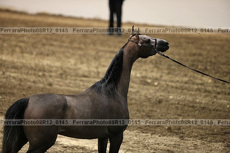 Proof 08r12_0145