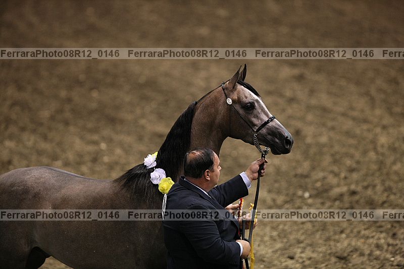 Proof 08r12_0146