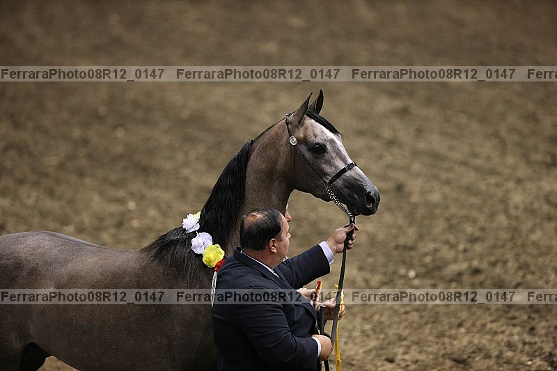 Proof 08r12_0147