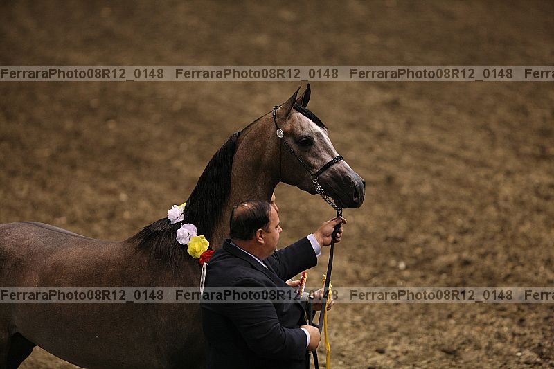 Proof 08r12_0148