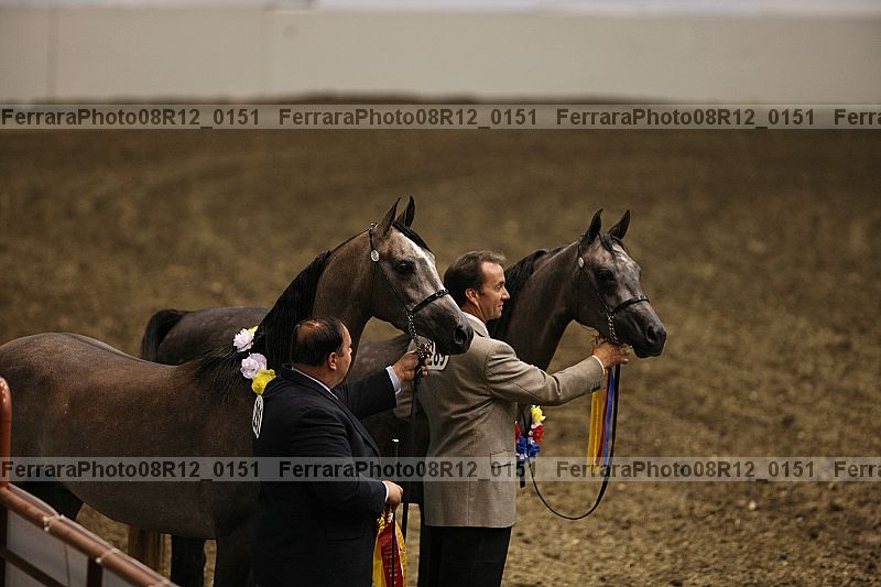 Proof 08r12_0151