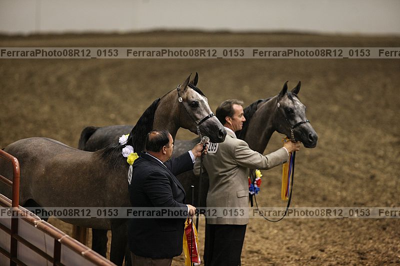Proof 08r12_0153