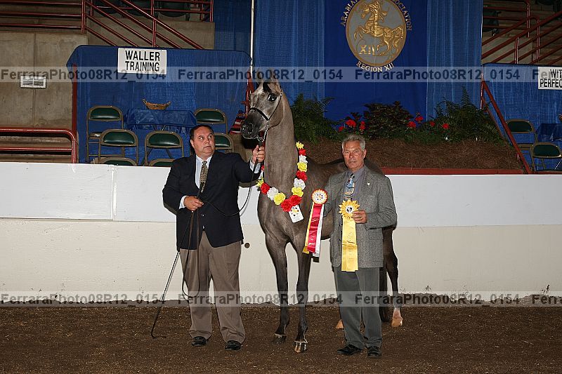 Proof 08r12_0154