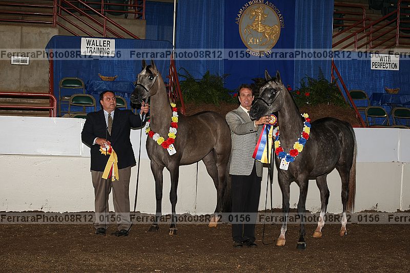 Proof 08r12_0156
