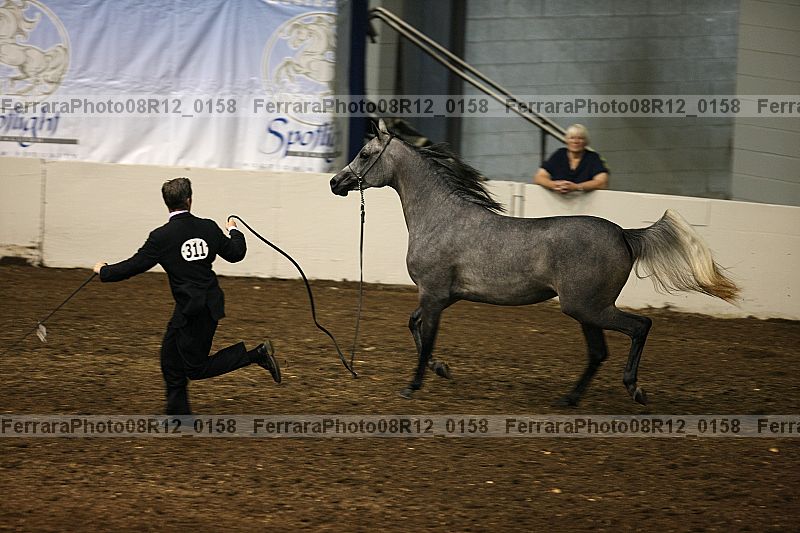 Proof 08r12_0158