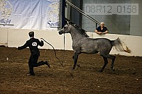 08r12_0158 proof