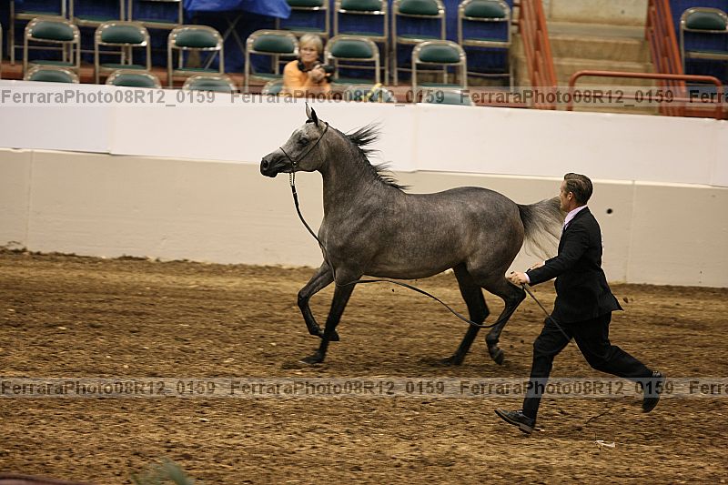 Proof 08r12_0159