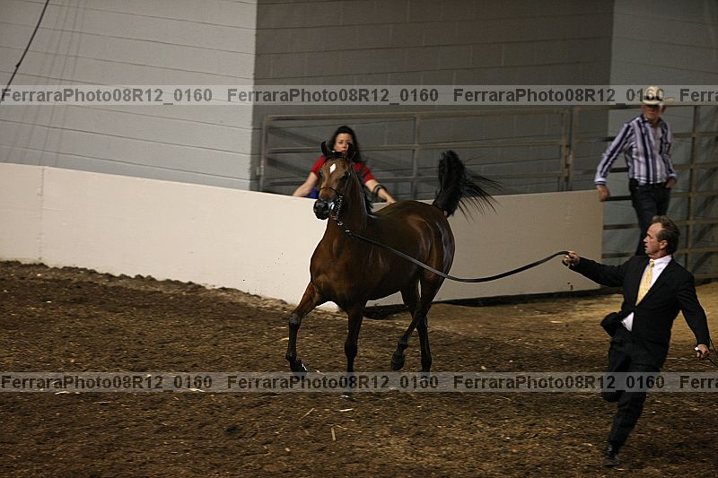 Proof 08r12_0160