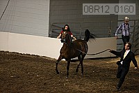 08r12_0160 proof