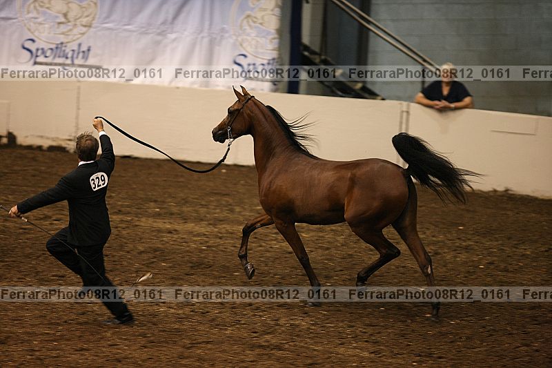 Proof 08r12_0161