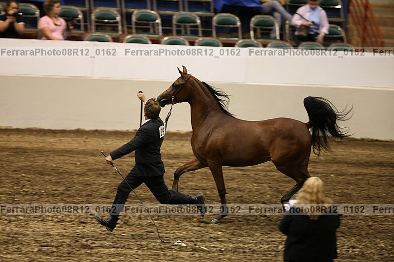 Proof 08r12_0162