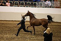 08r12_0162 proof