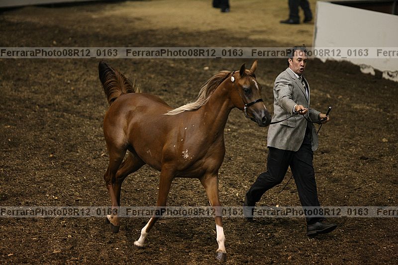 Proof 08r12_0163