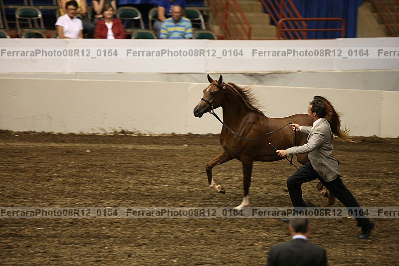 Proof 08r12_0164