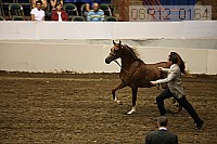 08r12_0164 proof