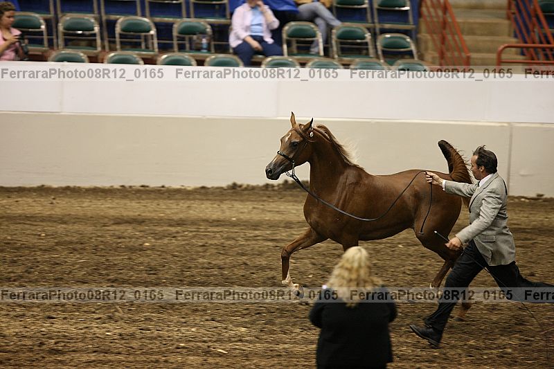 Proof 08r12_0165
