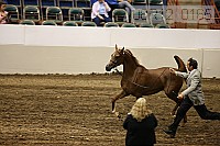 08r12_0165 proof