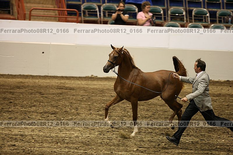 Proof 08r12_0166
