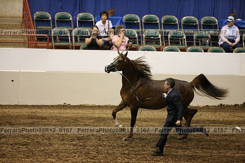 Proof 08r12_0167