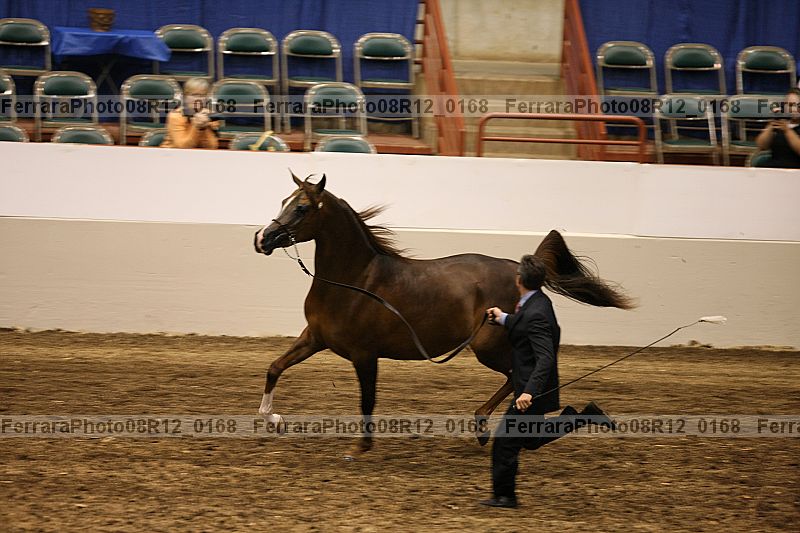 Proof 08r12_0168