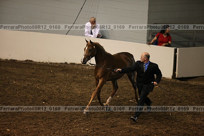 Proof 08r12_0169