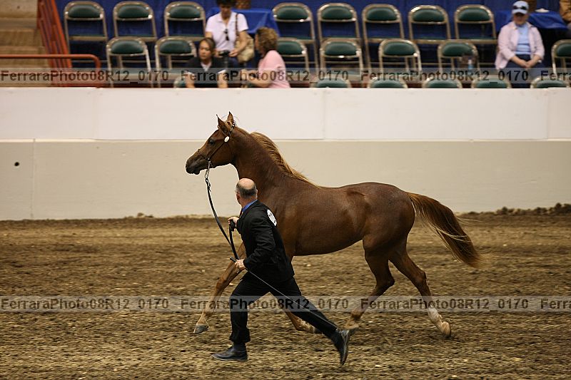 Proof 08r12_0170