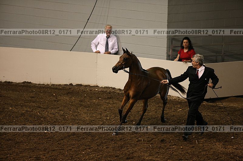 Proof 08r12_0171