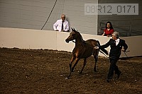 08r12_0171 proof