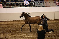 08r12_0173 proof