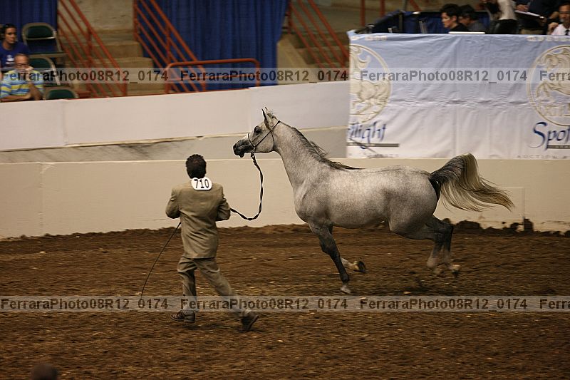 Proof 08r12_0174