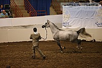 08r12_0174 proof