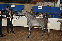08r12_0177 proof